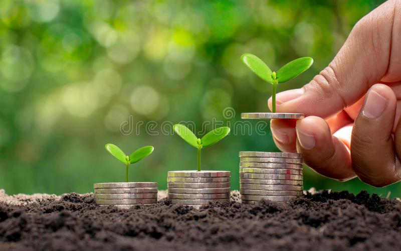 growing-trees-jar-saving-money-soi-growing-trees-jar-saving-money-soil-financial-growth-concept-159421632
